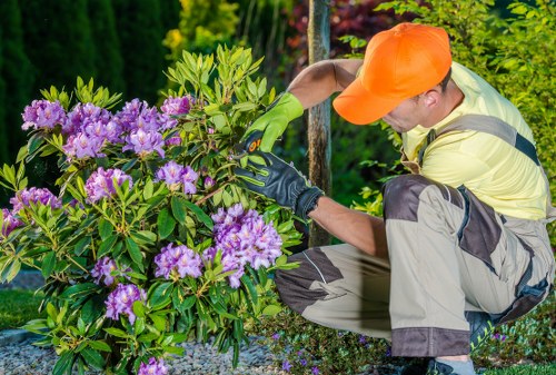 Professional garden clearance in Downham