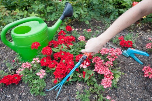 Gardener inspecting trimmed hedges at a property