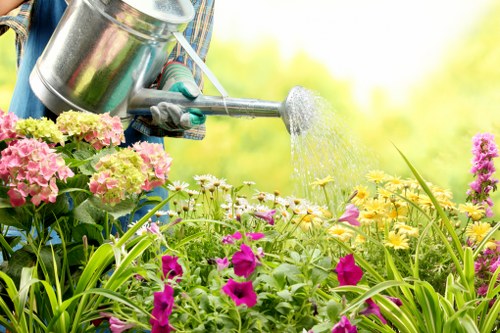 A person wearing gardening gloves is watering a colorful garden filled with pink, purple, and yellow flowers, including hydrangeas and daffodils, using a silver watering can. The garden is part of a landscaped backyard with lush green foliage and a well-maintained lawn, featuring a mix of flowering plants and ornamental foliage. Sunlight filters through the background trees, creating a bright and inviting outdoor space typical of residential gardens in Downham. The scene showcases careful garden maintenance and planting, reflecting professional gardening services such as hedge trimming and lawn care provided by Hedge Trimming Downham, in a natural and vibrant setting suitable for outdoor leisure and aesthetic appeal.