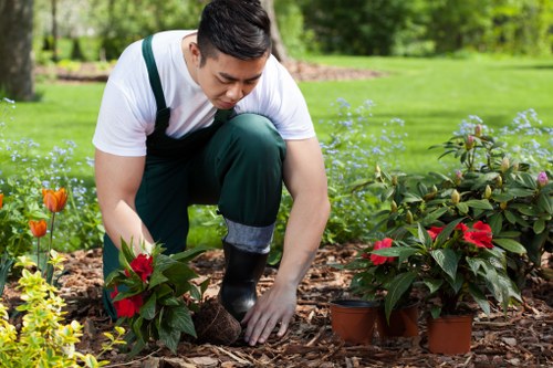 Team performing garden clearance in a residential back garden
