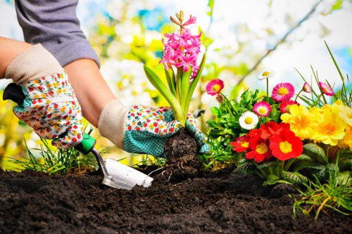 Eco-friendly tree removal practices