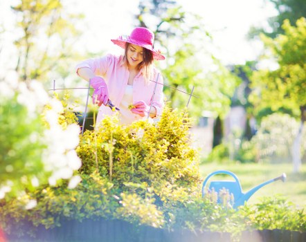Garden debris removal services