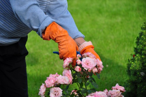 Worker demonstrating safe hedge trimming techniques beside a trimmed hedge