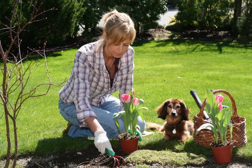 Eco-friendly garden maintenance