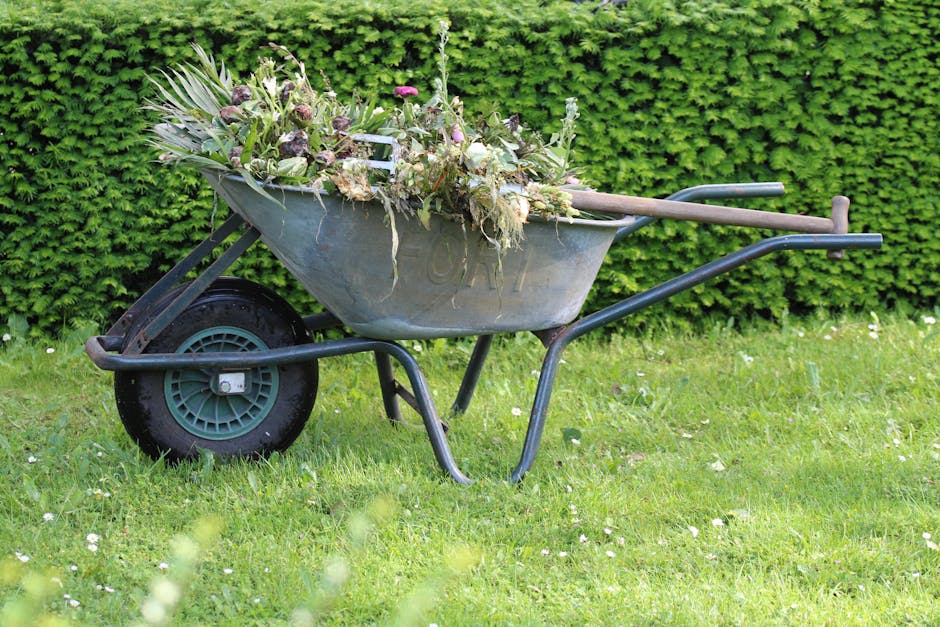 A close-up view of a gardener's hands wearing black gloves, using a pair of pruning shears with blue handles to trim the bare branches of a shrub. The background features a softly blurred garden scene