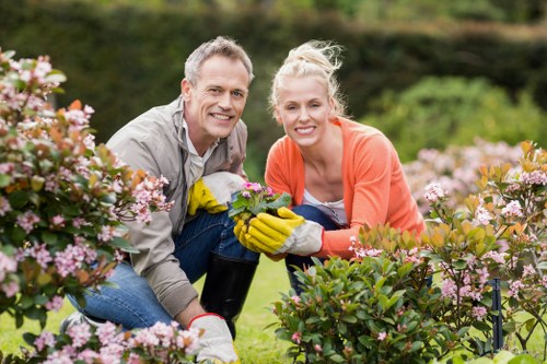 Beautifully maintained hedges enhancing outdoor space